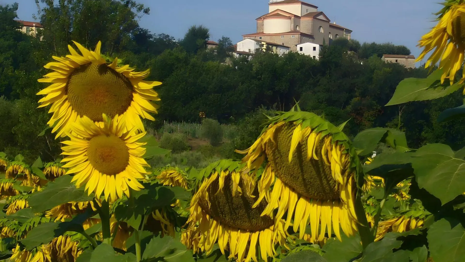 Holiday home Stonehouse - Lucca Villa Capannori